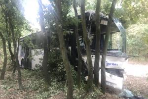 Řidiče autobusu u obce Skorkov zradilo srdce, havaroval mezi stromy