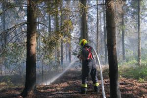 Oheň řádil v lese u Skřipova. Levné to zrovna dvakrát nebylo (VIDEO)