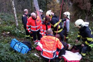 Na strom by měli spíše přilétat ptáci, paraglidisté raději ne (Video)