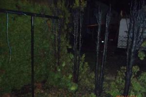 Oheň si ve Slezské Ostravě liboval v garáži, v Bruntále nepohrdl ani tújemi
