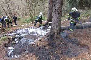Požár v Národním parku Šumava nenapáchal žádnou škodu