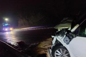 Hasiči zasahovali u Kuřimi u vážné nehody