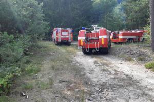 Lesní požár hasiči rychle zmákli, malá plocha ohně to ale nebyla