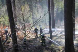 U lesního požáru u Olešnice v Orlických horách zasahovali i polští hasiči