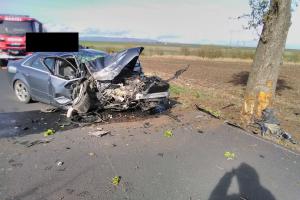 U Hrušovan narazilo auto do stromu, jedna osoba byla zraněna