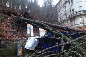 Pily v rukou hasičů. Popadané stromy poškodily zaparkovaná auta