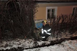 Hasiči vyprošťovali srnku, v Lázních Libverda se zaklínila v plotu