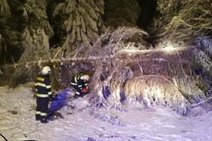 O víkendu se hasiči nezastavili. Převládaly zásahy na popadané stromy