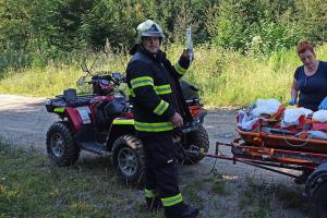Šel porazit strom, ten porazil dřevorubce. Skončil v nemocnici