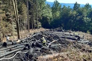 Plameny zničily lesní vyvážecí soupravu. Škoda za víc jak milion