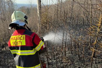 Požár lesa v Návsi si vyžádal zásah 19 jednotek požární ochrany