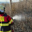 Požár lesa v Návsi si vyžádal zásah 19 jednotek požární ochrany
