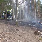 Požár lesa u obce Brdo zaměstnal několik jednotek