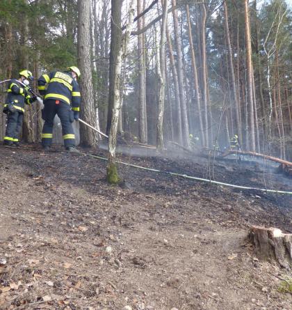 Požár lesa u obce Brdo zaměstnal několik jednotek