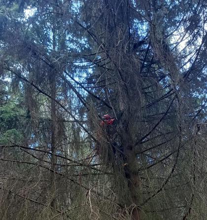 Zásah u Zvičiny, paraglidista uvízl ve stromě