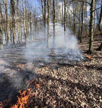 V lese u Valtířova na Ústecku hořelo na ploše čtyř hektarů
