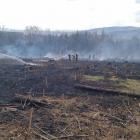 K požáru lesa vyjely jednotky druhého stupně požárního poplachu