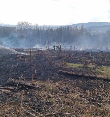 K požáru lesa vyjely jednotky druhého stupně požárního poplachu