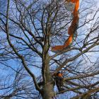 Hasiči zachraňovali pod Kozákovem paraglidistu