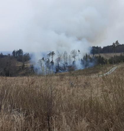 U požáru lesa u Doubravice nad Svitavou byl vyhlášen 3.stupeň požárního poplachu