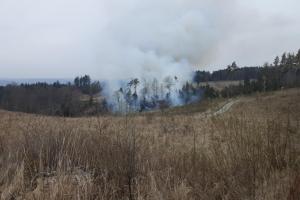 U požáru lesa u Doubravice nad Svitavou byl vyhlášen 3.stupeň požárního poplachu