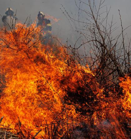 Požár porostu v Trutnově, zásah komplikoval silný vítr