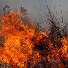 Požár porostu v Trutnově, zásah komplikoval silný vítr Požár porostu v Trutnově, zásah komplikoval silný vítr