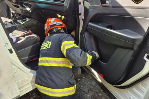 Několikadenní kočičí drama skončilo zásahem hasičů